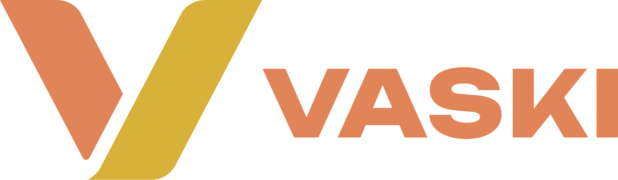 Vaski logo